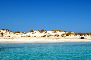 formentera sandy beach