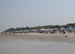 A typical beach on Cape Cod