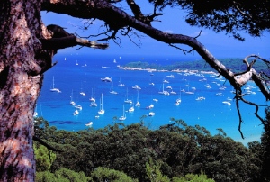 iles d'or