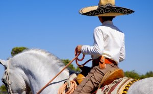 The Culture of Mexico
