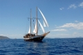 ALEXANDER ACHILLES - 5 Cabins - Greece