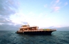 SULTAN OF THE MALDIVES - 8 Cabins - Male, Maldives