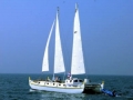 Wharram 52 catamaran - 4 cabins - Koh Chang, Thailand